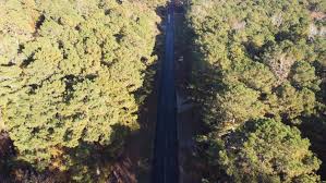 Image result for Spalding & District Gc