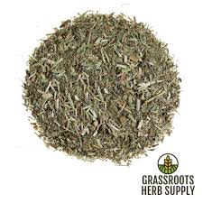 Image result for Verbena officinalis