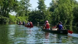 Image result for Solent Canoe Club