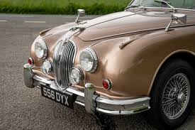 Image result for Golden Sand 1962 Jaguar