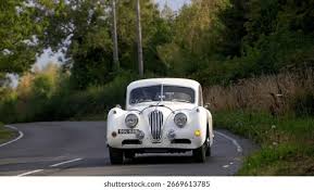 Image result for Old English White 1955 Jaguar