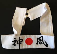 Image result for Devines Martial Arts