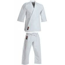 Image result for Karate Wado Kai