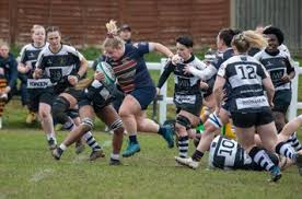Image result for Sutton & Epsom Rugby Football Club