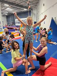Image result for Vernon Park Gymnastics