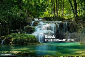 Image result for Cascada