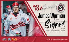 Image result for Streatham Night Wolves Ice Hockey Team