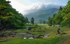 Kết quả hình ảnh cho hinh anh