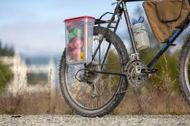 Image result for bicycle pannier