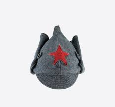 Image result for будёновка