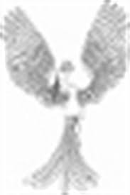 Image result for Phoenix Netball Club