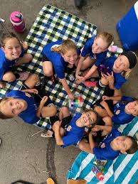 Image result for Netherne Community Amateur Sports Club