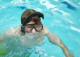 Image result for Kingston and Elmbridge Snorkellers
