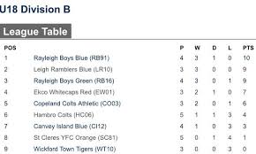 Image result for Hambro Colts Y F C