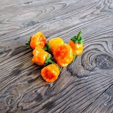 Afbeeldingsresultaat voor yellow mushroom hot pepper