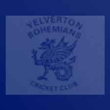 Image result for Yelverton Bohemians Cricket Club