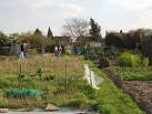 Stanstead Road Allotments Plot 41 2007 - via Daymix