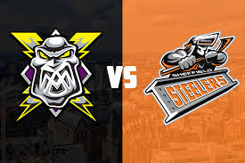 Image result for Sheffield Steelers
