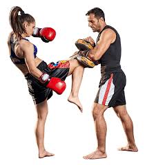 Image result for United Dojos Kickboxing
