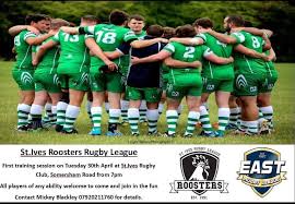 Image result for St Ives Rugby Club