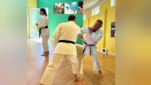 Image result for Kyomeikai Karate Club