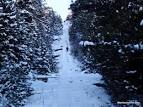 Act of Congress Needed to Legalize Hiking the Incline | Manitou ...