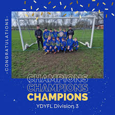 Image result for Hamilton Panthers Association Football Club