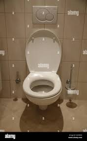 Image result for german toilet