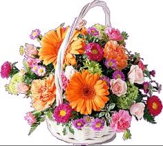 images?q=tbn:ANd9GcRXxsyChRNDzN9mQW3qGVtf6ftaeHJdvCx5WH3vK6aV3r6rpM2l2Q