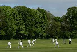 Image result for Stamford Bridge Cricket Club