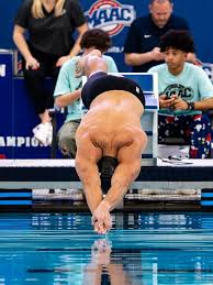 Image result for 243 Diving Club