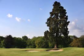 Image result for Aldwickbury Park Golf Club