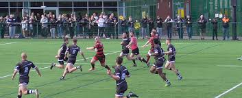 Image result for Leigh East Rugby League Football Club