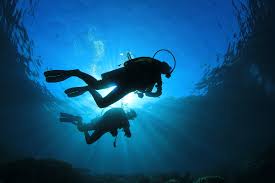 Image result for Simply Scuba