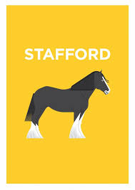 Image result for Staffordshire Stallions