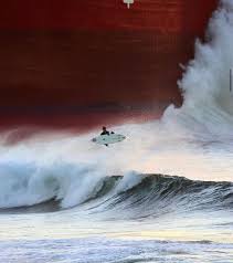 Image result for Pasha bulker