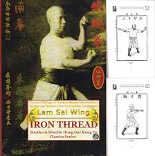 Image result for Salisbury Lau Gar Kung Fu Club