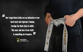 Image result for Breakthrough Tae Kwon Do