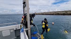 Image result for Chelsea & Fulham Sub-Aqua Club