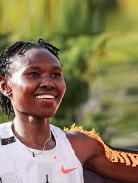 Image result for Matt Cutts sauer