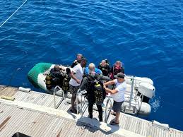 Image result for Hartlepool Divers Bsac Branch 0985