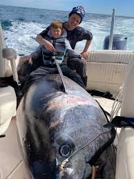 Image result for giant tuna