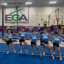 Image result for Elite Recreational Gymnastics Club