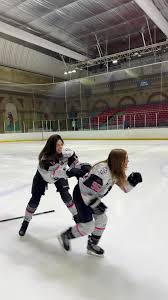 Image result for Haringey Greyhounds Ice Hockey Club