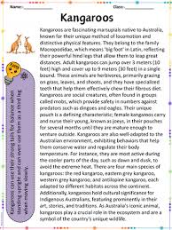 Image result for Reading Kangaroos