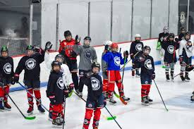 Image result for Vipers Roller Hockey Team