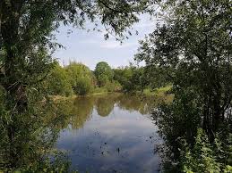 Image result for Orpington District Angling Association