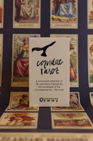 Attēlu rezultāti vaicājumam “Corvidae”