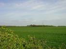 square from Ringlestone Road between Morning Dawn and Marshall's Farm. - via Daymix