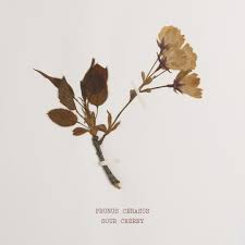 Attēlu rezultāti vaicājumam “Cerasus bud”